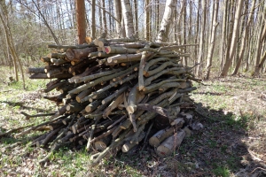 drewno "gałęziówka"